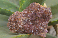 Natural Dark "Amethystos" Amethyst Clusters  x 18 From Kwaggafontein, South Africa - TopRock