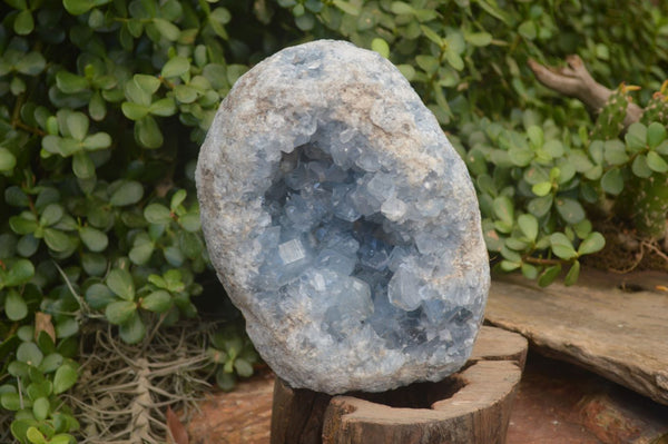 Natural Blue Celestite Geode Specimen  x 1 From Sakoany, Madagascar