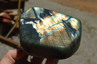 Polished Labradorite Standing Free Forms With Intense Blue & Gold Flash x 2 From Sakoany, Madagascar - TopRock