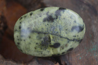 Polished Spotted Leopard Stone Gallets  x 12 From Nyanga & Shamva, Zimbabwe - Toprock Gemstones and Minerals 