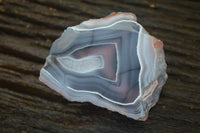 Polished Banded River Agate Nodules  x 6 From Zimbabwe - Toprock Gemstones and Minerals 