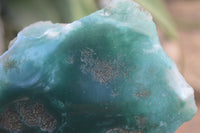 Polished Green Mtorolite / Chrome Chrysoprase Plates  x 2 From Zimbabwe - Toprock Gemstones and Minerals 