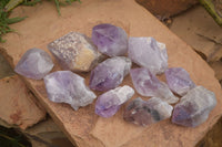 Natural Single Jacaranda Amethyst Crystals x 12 From Mumbwe, Zambia