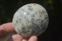 Polished Large Dendritic Opal Palm Stones  x 12 From Madagascar - Toprock Gemstones and Minerals 