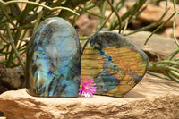 Polished Labradorite Standing Free Forms With Intense Blue & Gold Flash x 2 From Tulear, Madagascar - TopRock