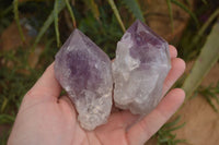 Natural Single Jacaranda Amethyst Crystals x 12 From Mumbwe, Zambia