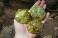 Polished Green Opal Galet / Palm Stones x 12 From Antsirabe, Madagascar