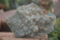 Polished Green Mtorolite / Chrome Chrysoprase Plates  x 2 From Zimbabwe - Toprock Gemstones and Minerals 