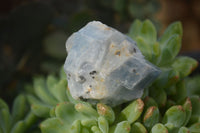 Natural New Sky Blue Calcite With Hematite Specimens  x 35 From Spitzkoppe, Namibia - Toprock Gemstones and Minerals 