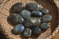 Polished  Flashy Labradorite Palm Stones  x 12 From Tulear, Madagascar