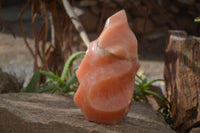 Polished Extra Large Orange Twist Calcite Flame  x 1 From Madagascar