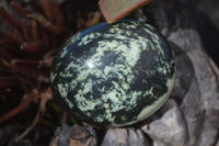 Polished Spotted Leopard Stone Gallets  x 6 From Zimbabwe