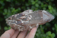 Natural Red Hematite Quartz Crystals & Clusters  x 2 From Karoi, Zimbabwe - Toprock Gemstones and Minerals 