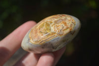 Polished Large Dendritic Opal Palm Stones  x 12 From Madagascar - Toprock Gemstones and Minerals 