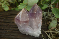 Natural Jacaranda Amethyst Clusters  x 3 From Mumbwa, Zambia - Toprock Gemstones and Minerals 