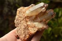 Natural Red Hematoid Phantom Quartz Clusters x 6 From Zimbabwe - TopRock