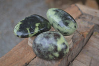 Polished Spotted Leopard Stone Gallets  x 12 From Nyanga & Shamva, Zimbabwe - Toprock Gemstones and Minerals 