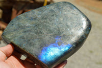 Polished Labradorite Standing Free Forms With Intense Blue & Gold Flash x 2 From Sakoany, Madagascar - TopRock