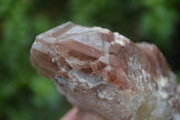 Natural Red Hematite Quartz Crystals & Clusters  x 2 From Karoi, Zimbabwe - Toprock Gemstones and Minerals 