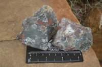 Natural Rough Cobbed Bloodstone Specimens  x 24 From Swaziland - TopRock