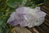 Natural Jacaranda Amethyst Clusters  x 3 From Mumbwa, Zambia - Toprock Gemstones and Minerals 