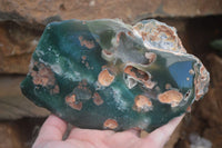 Polished Green Mtorolite / Chrome Chrysoprase Plates  x 2 From Zimbabwe - Toprock Gemstones and Minerals 