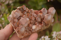 Natural Mixed Selection Of Quartz Clusters  x 12 From Madagascar