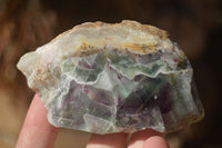 Polished  One Side Polished Watermelon Fluorite Pieces  x 12 From Uis, Namibia