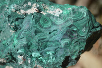 Natural Silky Botryoidal Malachite Specimen  x 1 From Kasompe, Congo