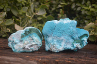 Natural Blue Chrysocolla On Silky Malachite Matrix Specimens x 2 From Kulukuluku, Congo - Toprock Gemstones and Minerals 