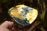 Polished Labradorite Standing Free Forms With Intense Blue & Gold Flash x 2 From Tulear, Madagascar - TopRock