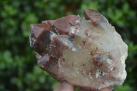 Natural Red Hematite Quartz Crystals & Clusters  x 2 From Karoi, Zimbabwe - Toprock Gemstones and Minerals 