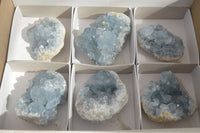 Natural Blue Celestite Crystal Specimens  x 6 From Madagascar