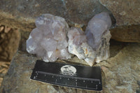 Natural Smokey Amethyst Spirit Quartz Specimens x 12 From Boekenhouthoek, South Africa