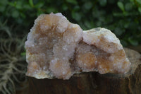 Natural Ametrine & Limonite Spirit Quartz Clusters  x 3 From Boekenhouthoek, South Africa - Toprock Gemstones and Minerals 