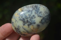 Polished Large Dendritic Opal Palm Stones  x 12 From Madagascar - Toprock Gemstones and Minerals 