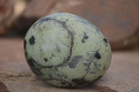 Polished Spotted Leopard Stone Gallets  x 6 From Zimbabwe