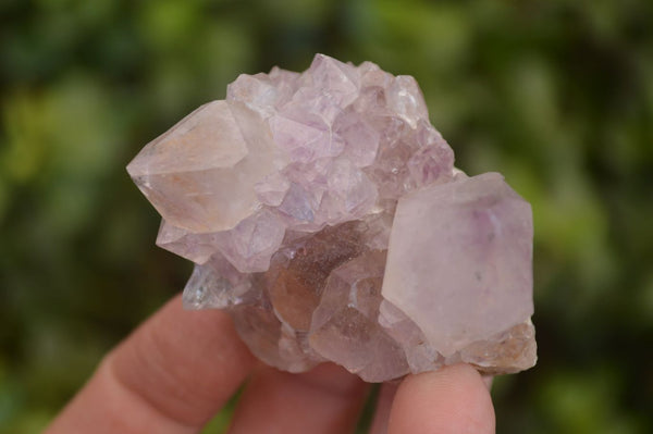 Natural Mixed Spirit Quartz Crystal Specimens x 24 From Boekenhouthoek, South Africa