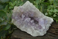 Natural Jacaranda Amethyst Clusters x 2 From Mumbwa, Zambia - TopRock