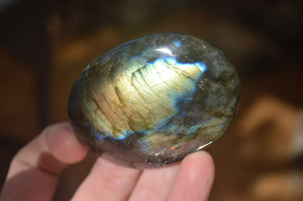 Polished  Flashy Labradorite Palm Stones  x 12 From Tulear, Madagascar