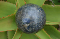 Polished Rare Iolite / Water Sapphire Spheres  x 2 From Northern Cape, South Africa - Toprock Gemstones and Minerals 