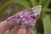 Natural Salrose Cobaltion Dolomite Specimens  x 12 From Kakanda, Congo - TopRock