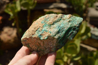 Natural Rough Blue Shattuckite Specimens  x 8 From Namibia - TopRock