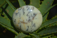 Polished Large Dendritic Opal Palm Stones  x 12 From Madagascar - Toprock Gemstones and Minerals 