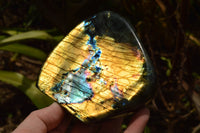 Polished Labradorite Standing Free Forms With Intense Blue & Gold Flash x 2 From Tulear, Madagascar - TopRock