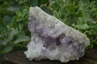 Natural Jacaranda Amethyst Clusters x 2 From Mumbwa, Zambia - TopRock