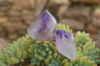 Polished Stunning Selection Of Small Window Amethyst Crystals  x 35 From Akansobe, Madagascar - TopRock