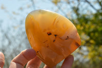 Polished Stunning Dendritic Agate Standing Free Forms  x 3 From Moralambo, Madagascar - TopRock