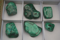 Polished Flower Banded Malachite Free Forms  x 6 From Congo - Toprock Gemstones and Minerals 