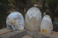 Polished Dendritic Agate Standing Free Forms  x 3 From Madagascar - Toprock Gemstones and Minerals 